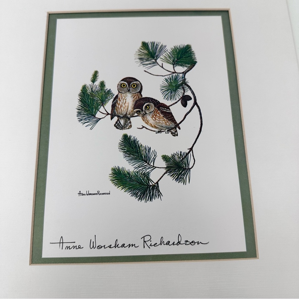Anne Worsham Richardson Screech Owl and Saw Whet Owl
Signed Prints - Picture 7 of 16